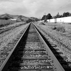 Meet your Posher, Skye